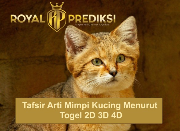 Tafsir Arti Mimpi Kucing Dengan Togel 2D 3D 4D

 – Slot Deposit Pulsa